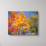 Colorful Autumn Trees Canvas Print