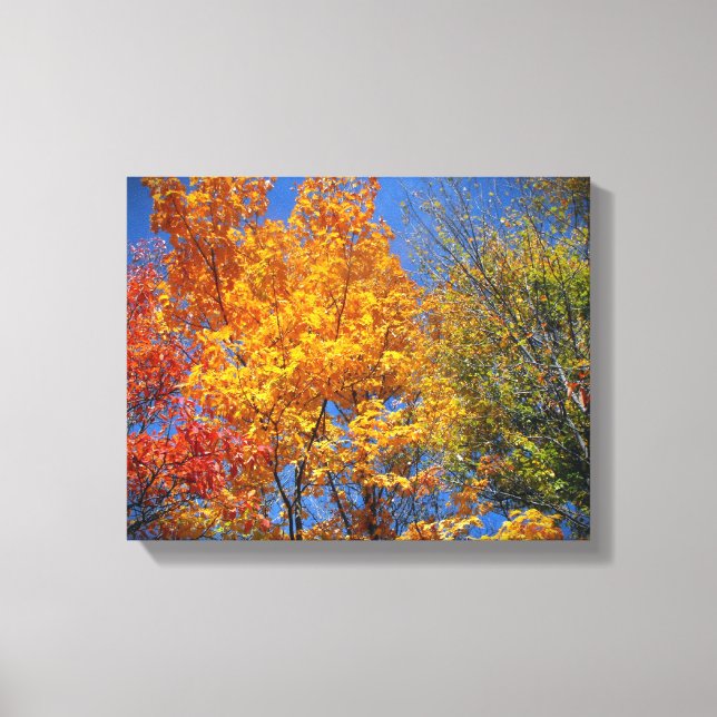 Colorful Autumn Trees Canvas Print (Front)
