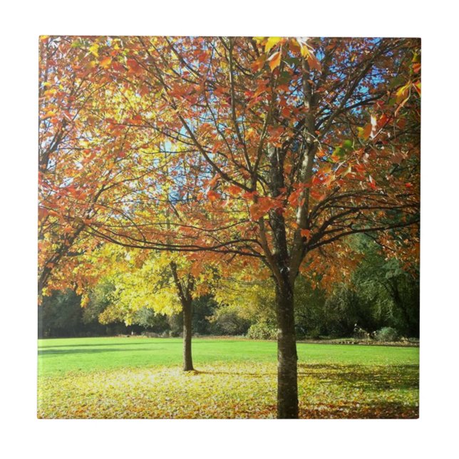 Colorful Autumn Trees Ceramic Tile (Front)