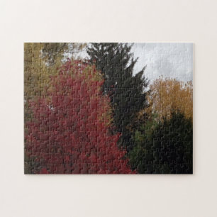 Colorful Autumn Trees Gray Sky Puzzles