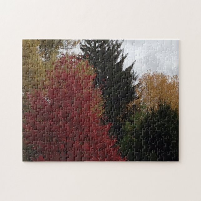 Colorful Autumn Trees Gray Sky Puzzles (Horizontal)