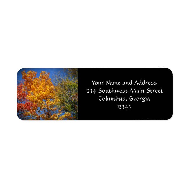 Colorful Autumn Trees Label (Front)