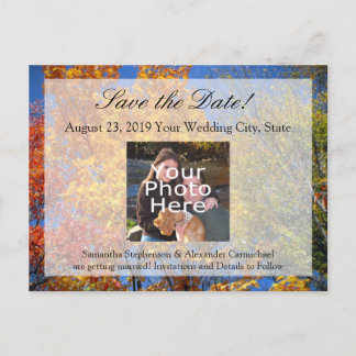 Colorful Autumn Trees Save the Date Announcement Postcard