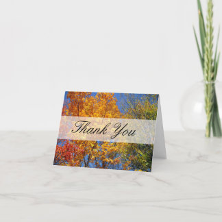 Colorful Autumn Trees Thank You Card