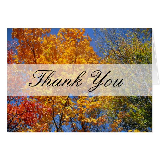 Colorful Autumn Trees Thank You Card | Zazzle