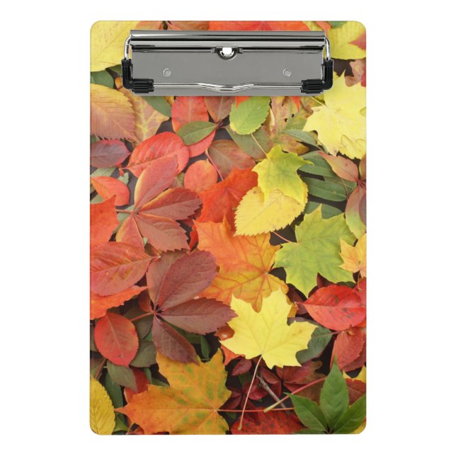 Colorful Background Of Fallen Autumn Leaves Mini Clipboard (Front)