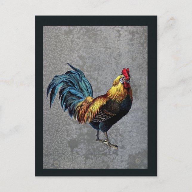 Colorful Bantam Rooster Postcard (Front)