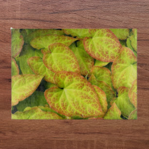 Colorful Barrenwort Plant Leaves Floral Cutting Board