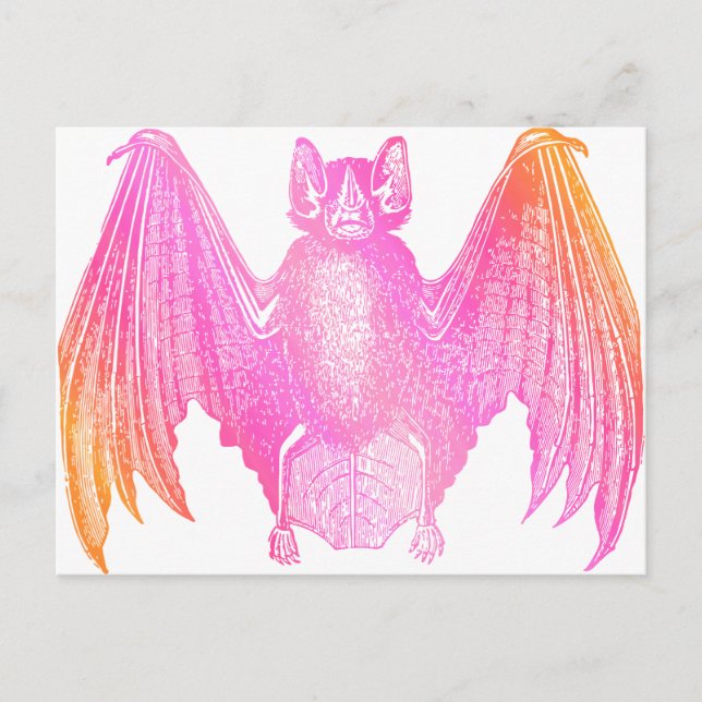 Colorful Bat Postcard (Front)