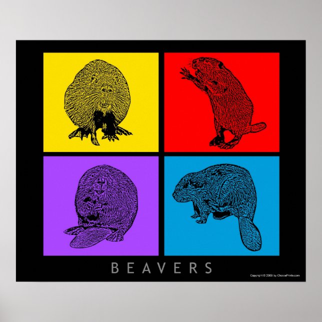 Colorful Beaver Poster (Front)