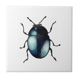 colorful beetle bug ceramic tile