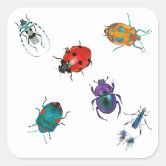 Cute and Happy Bug Stickers, Kawaii Bugs Sticker