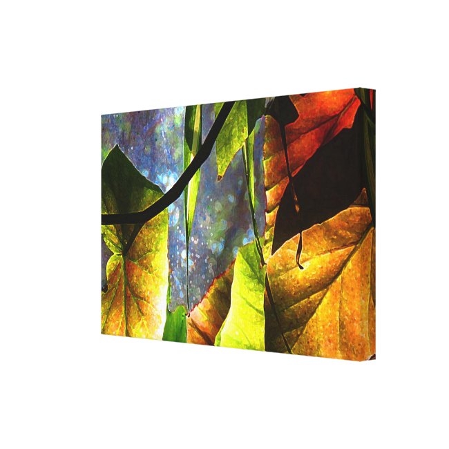 Colorful Begonia Leaf Abstract Canvas Print