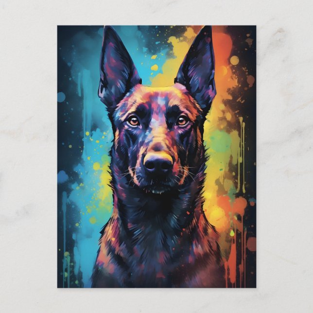 Colorful Belgian Malinois Postcard (Front)