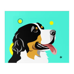 Colorful Bernese Mountain Dog Acrylic Print