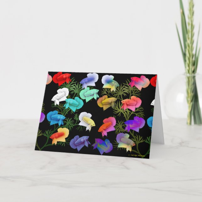 Colorful Betta Aquarium Fish Greeting Card (Front)