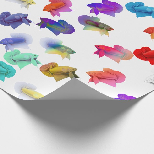 Colorful Betta Aquarium Fish Wrapping Paper (Corner)