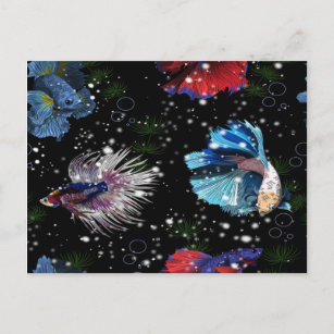 Colorful Betta Fish Postcard