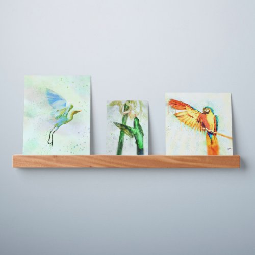 Colorful Bird Art Set of Three Watercolor Prints Picture Ledge