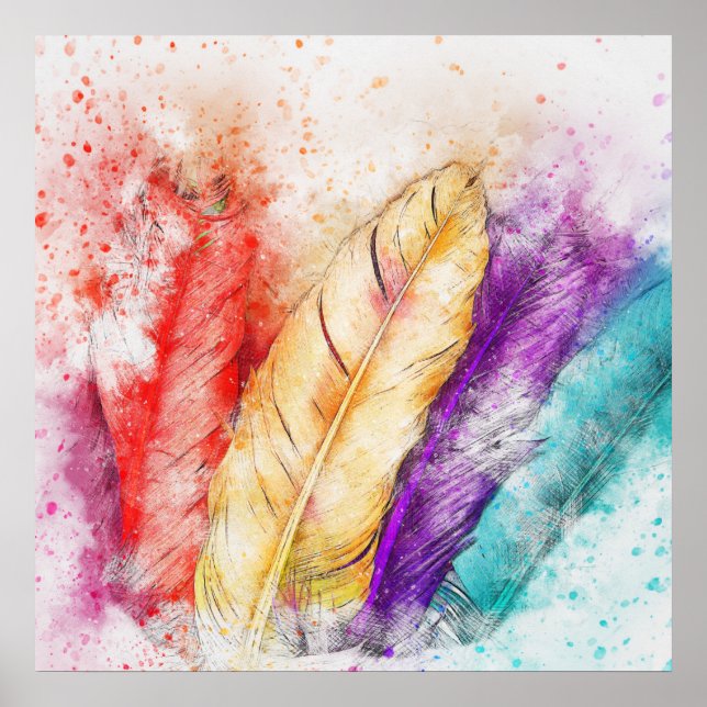 Colorful bird feathers poster (Front)