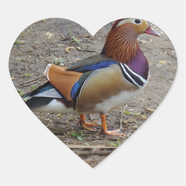 Colorful Bird Heart Sticker (Front)