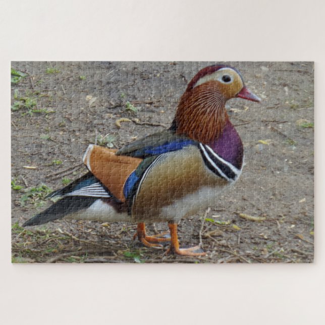 Colorful Bird Jigsaw Puzzle (Horizontal)