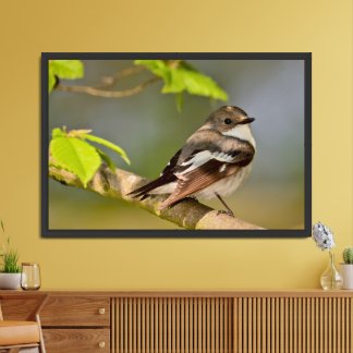 Colorful Bird Matte Poster Print