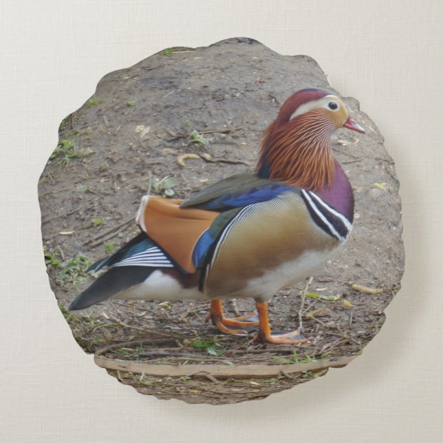 Colorful Bird Round Pillow (Back)
