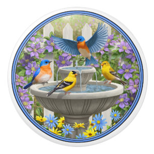 Colorful Birds and Bird Bath Flower Garden Ceramic Knob
