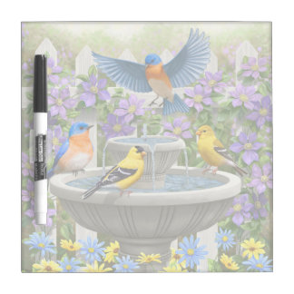 Colorful Birds and Bird Bath Flower Garden Dry Erase Board