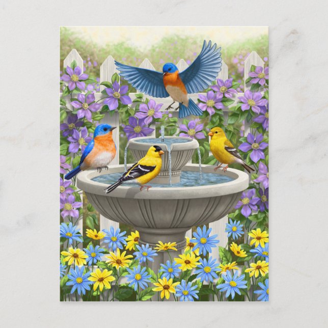 Colorful Birds and Bird Bath Flower Garden Postcard (Front)