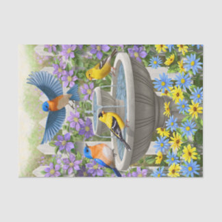 Colorful Birds and Bird Bath Flower Garden Tissue Paper