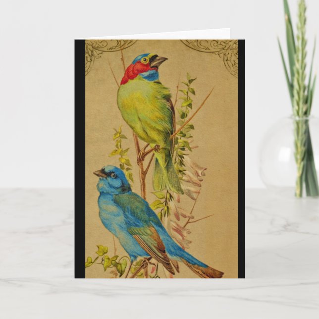 Colorful Birds Card (Front)