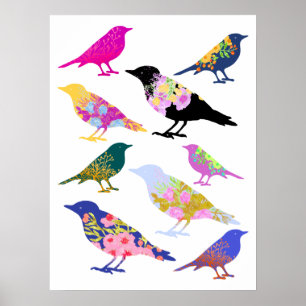 Colorful Birds Flowers Leaves Chic Floral Animal Poster