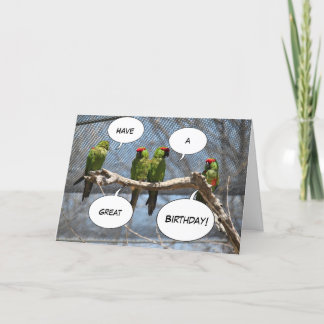 Colorful Birds Greeting Card