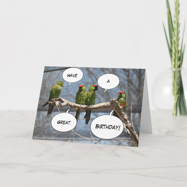 Colorful Birds Greeting Card (Front)