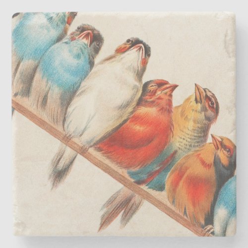 Colorful Birds on a Perch Stone Coaster
