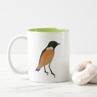 Colorful Birds Songbird 