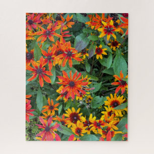 Colorful Black-eyed Susans in Vermont Jigsaw Puzzle
