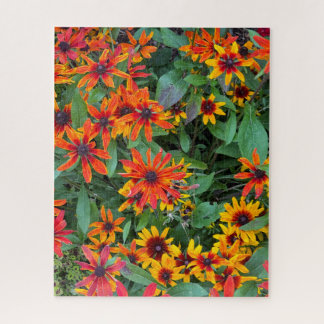 Colorful Black-eyed Susans in Vermont Jigsaw Puzzle