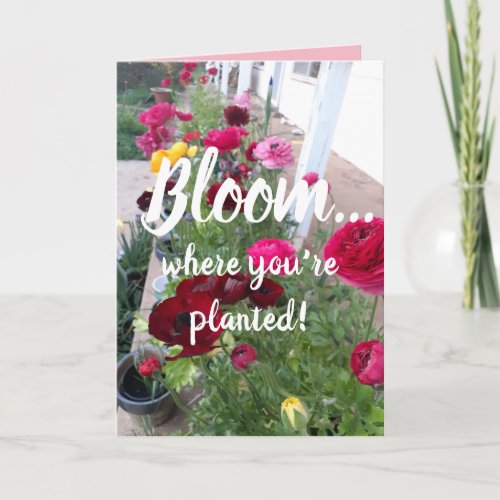 Colorful Bloom Where Youre Planted Flower Card
