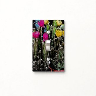 COLORFUL BLOOMING CACTI/ PHOTOG. & DIGITAL EFFECTS