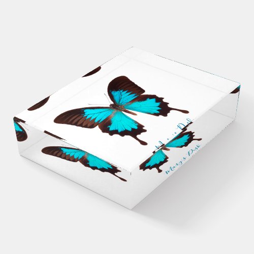 Colorful Blue Butterfly Desk Paperweight