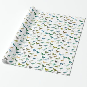 Colorful Blue Green Brown Birds Birthday Wrapping Paper