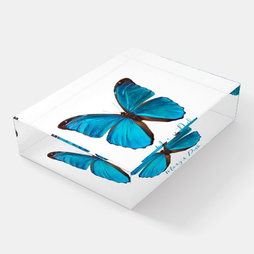 Colorful Blue Morpho Butterfly Desk Paperweight