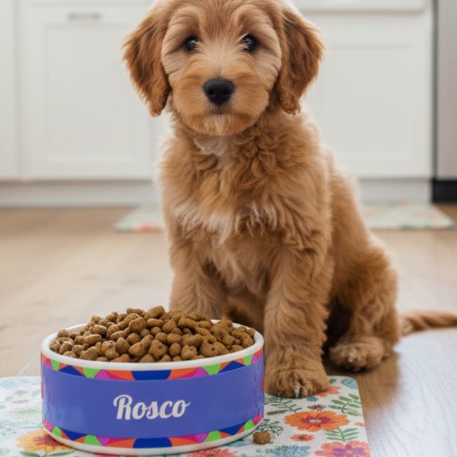 Colorful Blue Retro Geometric Ceramic Pet Bowl (Every dog deserves a personalized food bowl. Welcome your new pet with one of their own.)
