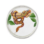 Colorful Boa Constrictor Snake Lapel Pin