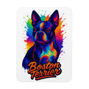 Colorful Boston Terrier Pop Art Portrait Magnet