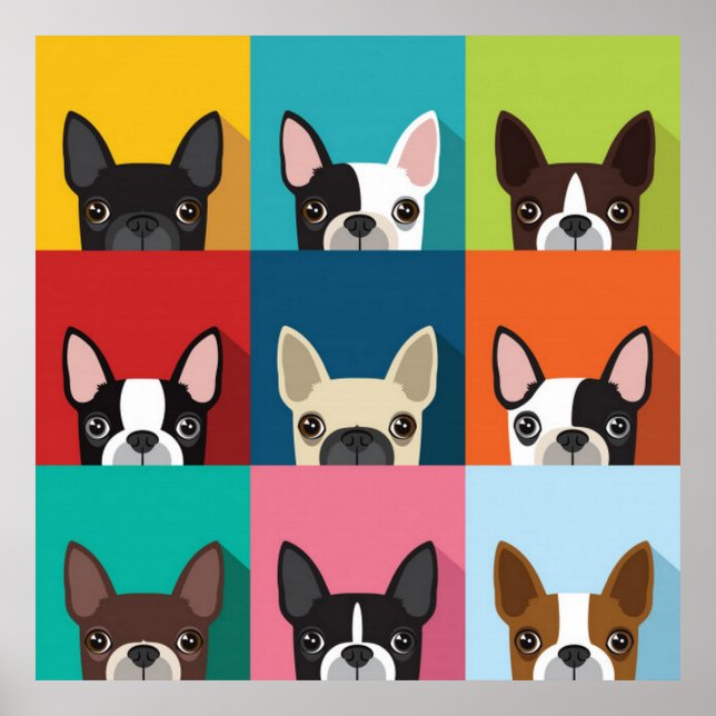 Colorful Boston Terriers Poster (Front)