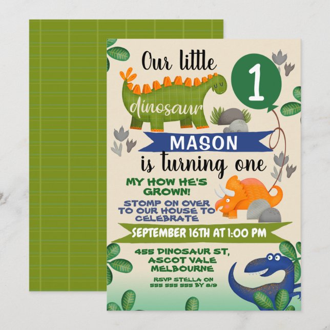 Colorful Boys Little Dinosaur Birthday Invitation (Front/Back)